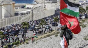 2025 FAS PROTESTOLARI