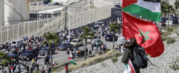 2025 FAS PROTESTOLARI