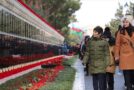 THE JANUARY 20 TRAGEDY IN AZERBAIJAN