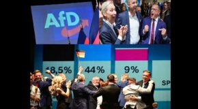 ALMANYA’DA AFD DEPREMİ