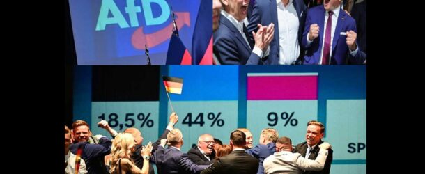 ALMANYA’DA AFD DEPREMİ