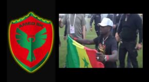 AMEDSPOR PHENOMENON