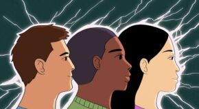 INSTITUTIONS AS A BRIDGE BETWEEN ETHNIC DIVERSITY AND DEMOCRATIZATION