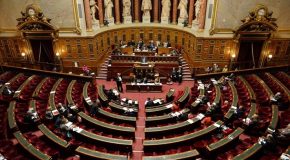 TRANSFORMING FRENCH SENATE INTO AN ENEMY OF PEACE
