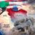 THE STRAIT OF HORMUZ CRISIS AND THE NEW ENERGY GEOPOLITICS: CHANGING POWER STRUGGLE IN THE MIDDLE EAST