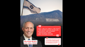ABD’Lİ MICHAEL RUBIN’İN TÜRKİYE TAKINTISI