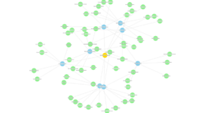 TÜRKİYE’DE SİBER GÜVENLİK EKOSİSTEMİNDE OTİZM SPEKTRUM BOZUKLUĞU (OSB) OLAN BİREYLERİN ROLÜ