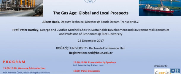 “THE GAS AGE: GLOBAL PROSPECTS” PANEL