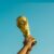 WORLD CUP AND POLITICS