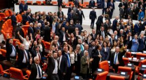FRAMEWORK LAW APPROVED BY THE TURKISH PARLIAMENT